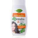 Šampóny BC Bione Cannabis šampón na vlasy proti lupům 260 ml