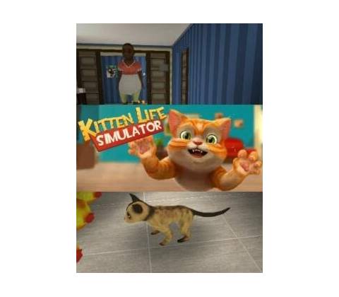 Kitten Life Simulator