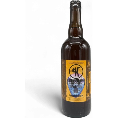 KOCOUR 11 CATFISH SUMEČEK 4,4% 1 l (PET)