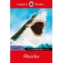 Sharks