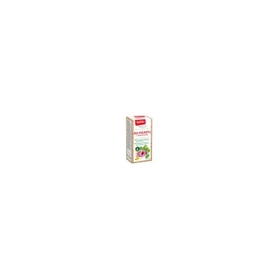 Apotheke Natur Čaj Na Imunitu s ginkgo biloba 18 x 2 g