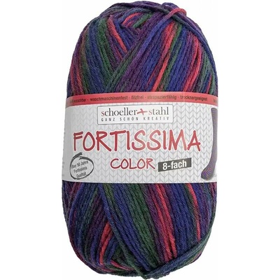 Schoeller Stahl Fortissima color 8-fach 0804
