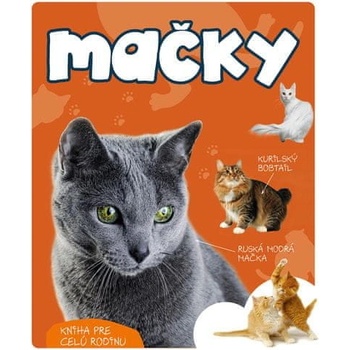 Mačky