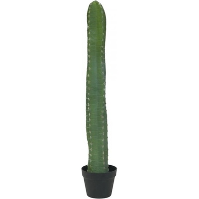 Mexický kaktus zelený, 97 cm