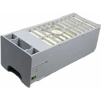 Epson T699700