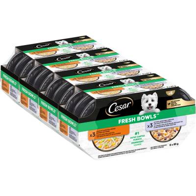 Cesar Fresh Bowls kuřecí a kachna v omáčce 96 x 85 g