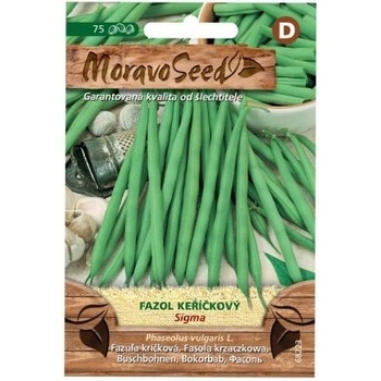 Semená fazule SIGMA, zelené, 60 s