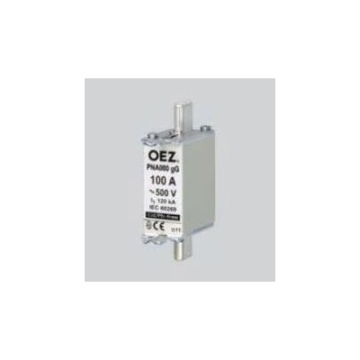 OEZ PNA000 40A gG (40484)
