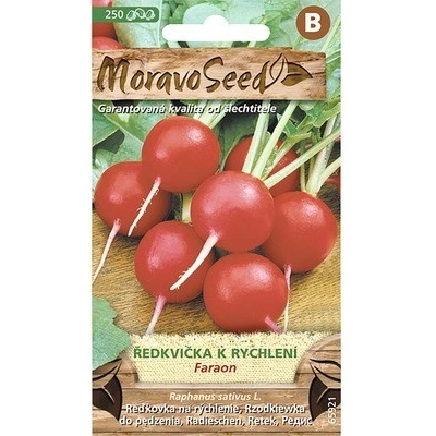 Reďkovka na rýchlenie FARAON MoravoSeed