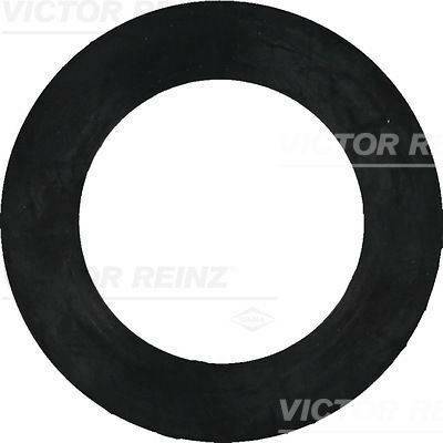 Těsnicí kroužek VICTOR REINZ 40-77408-00 (407740800)