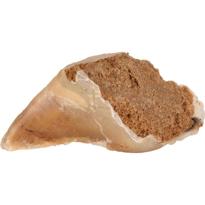 Trixie hovädzie kopyto s mäsovou paštétou 5 x 115 g
