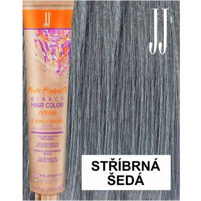 JJ Direct Barva Silver Moon Stříbrná Šedá 100 ml