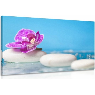 Obraz orchidea a Zen kamene