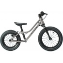 Rascal Punk Titanium