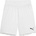 PUMA Teamgoal shorts 176