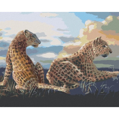Zuty malování Podle ČíselLežící Leopard D. Rusty Rust 80 x 100 Cm Plátno Rám