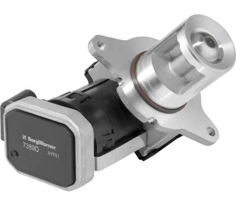 BorgWarner AGR ventil BGW 7389D