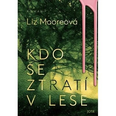 Kdo se ztratí v lese - Liz Moore