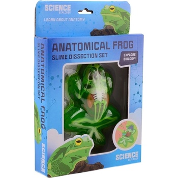 Johntoy Научен комплект Johntoy - Science Explorer, жаба за дисекция (1011614)