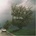 COLD COLD NIGHTS - LAST SUMMER CD