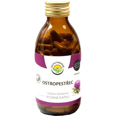 Salvia Paradise Ostropestřec mariánský kapsle 120 ks