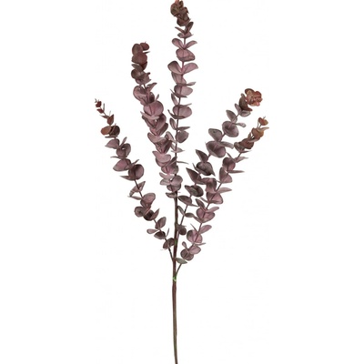 Blahovičník - Eukalyptus spray fialový (5) v76 cm (FB108359560)