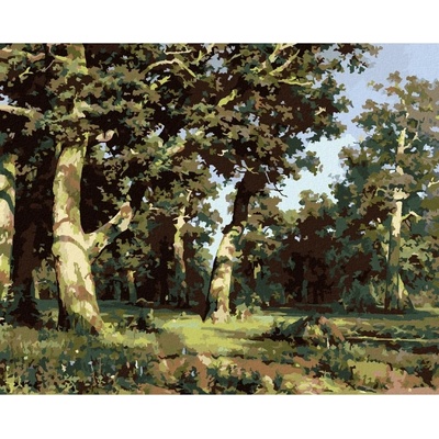 Zuty Malování podle čísel DUBOVÝ HÁJ IVAN SHISHKIN