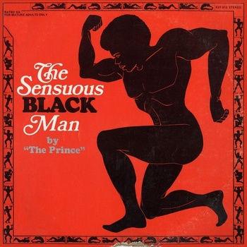 The Sensuous Black Man CD