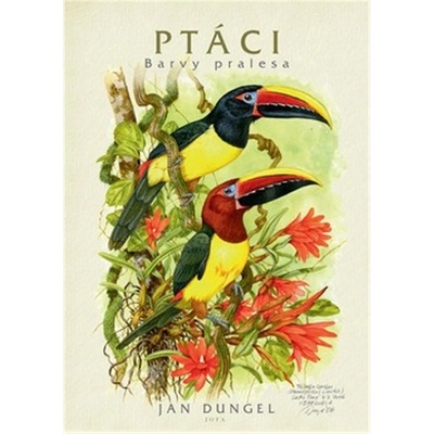 Ptáci - Barvy pralesa - Dungel Jan