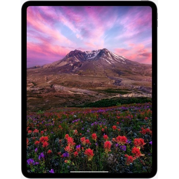 Apple iPad Pro 11 (2024) 2TB Wi-Fi Space Grey MVVG3HC/A