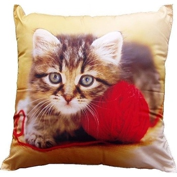 Dadka Fotovankúš Mačiatko s klbkom 40x40