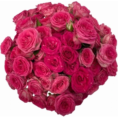 Kytice 100+ květů růží SWEET JULIA 40 cm