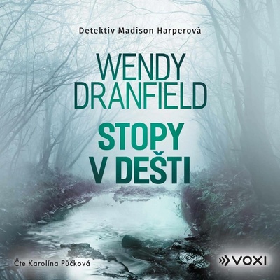 Stopy v dešti