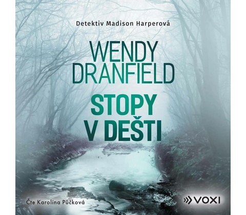 Stopy v dešti