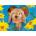 Nathan - Puzzle Little Dwarf Ram Rabbit - 500 piese