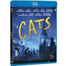 Cats BD