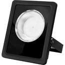 Ecolite RFLN01-100W