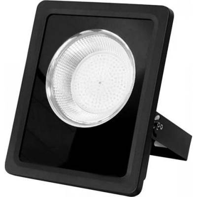 Ecolite RFLN01-100W