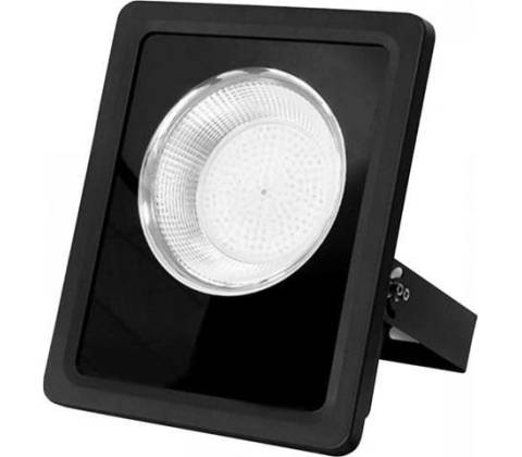 Ecolite RFLN01-100W