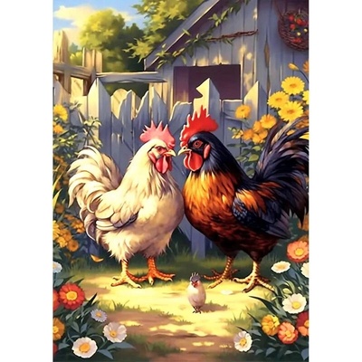 Norimpex Diamantový obrázek Kohouti 30 x 40 cm 2000302 – Hledejceny.cz
