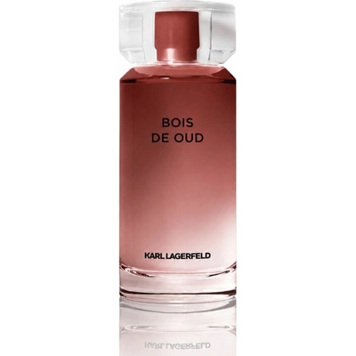 Karl Lagerfeld Bois de Oud toaletní voda pánská 100 ml