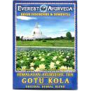 Everest Ayurveda GOTU KOLA Degenerácia mozgových funkcií 100 g