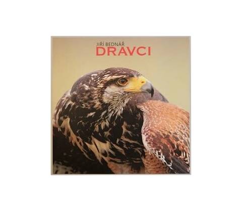 Dravci