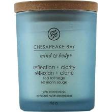 Chesapeake Bay Reflection + Clarity 96 g