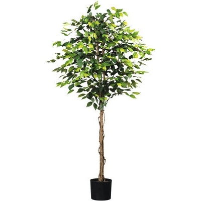 Umelá rastlina fikus drobnolistý Ficus benjamina 180 cm zelený 1008 listov prírodný kmeň v kvetináči 16 x 14 cm