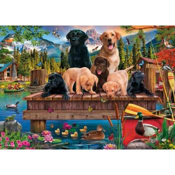 Schmidt Spiele - Puzzle A family of Dogs at the Lake - 1 000 piese
