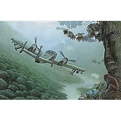 Roden Grumman OV 1A Mohawk 1:48