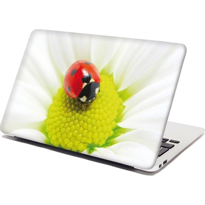 Sablio Samolepka na notebook Beruška na květu - 29x20 cm – Zboží Živě
