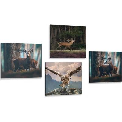 Set obrazů krása lesních zvířat - 4x 60x60