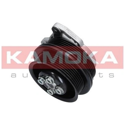 KAM-T0278